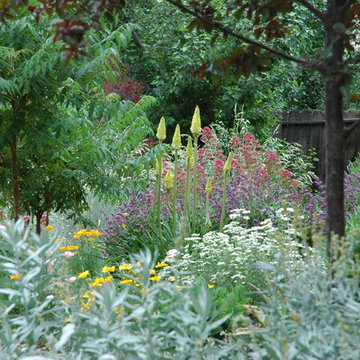 Colorado Springs Xeriscape Garden