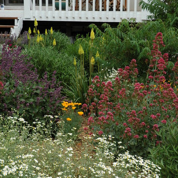 Colorado Springs Xeriscape Garden