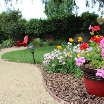 Colorful California Cottage Garden