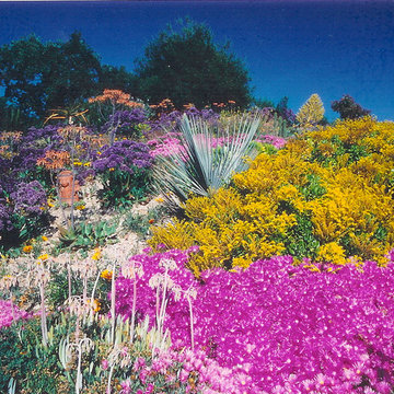 Colorful Dry Garden