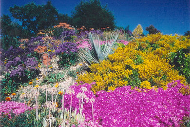 Colorful Dry Garden