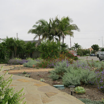 Colorful Fountain Valley Native Front Yard