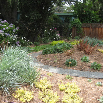 Colorful Front Yard