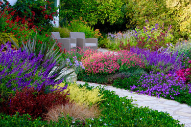 This is an example of a transitional landscaping in San Francisco.
