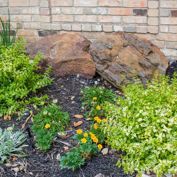 Colorful + Lush Rock Garden