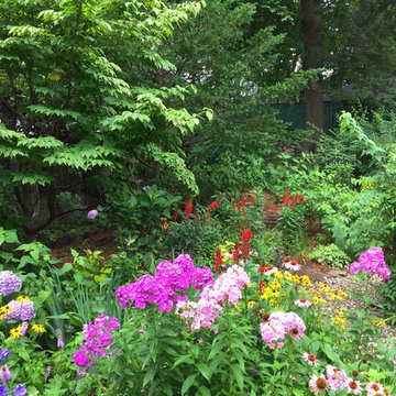 Colorful Mixed Perennial Garden