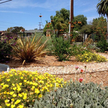 Colorful new front yard in Chula Vista