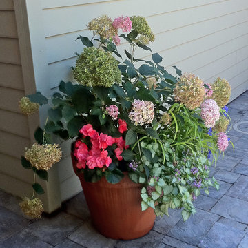 Colorful Pots