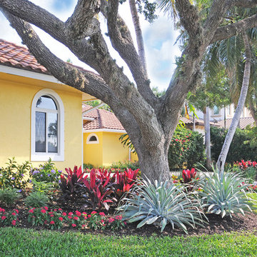 Colorful Tropical Curb Appeal