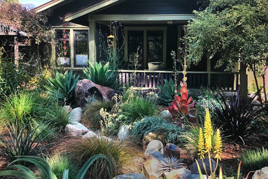 This is an example of a front yard landscaping in Los Angeles.