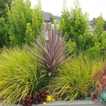 colorful waterwise planters