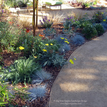 Colors and Textures In Fairfax, CA With Decomposed Granite Pathway