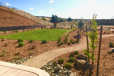 Complete drought tolerant back yard install