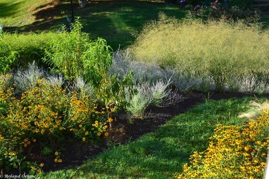 Diseño de camino de jardín de secano contemporáneo de tamaño medio en verano en patio delantero con exposición total al sol