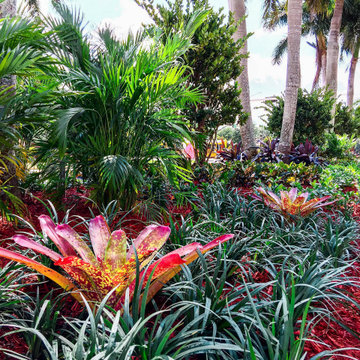 Complete overhaul of median strip landscaping in San Messina Weston Florida.