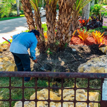 Complete overhaul of median strip landscaping in San Messina Weston Florida.