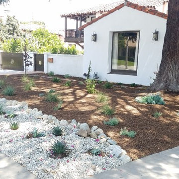 Complete Re-Design Using all CA Native Plants and Succulent Accents