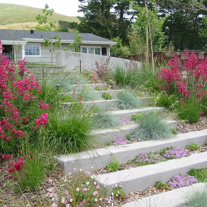 Poured Concrete Steps - Photos & Ideas | Houzz