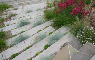 Plant Your Hardscape for Unexpected Green