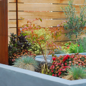 Concrete planter, metal screen and fence