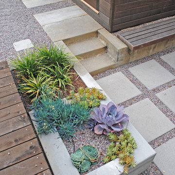 Concrete Planter with Succulents