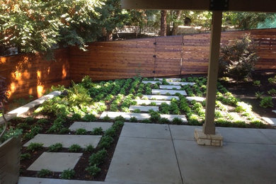 This is an example of a mid-sized modern partial sun backyard concrete paver garden path in Other for summer.