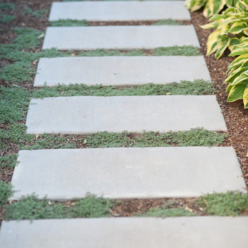 Concrete Walkway and Landscaping