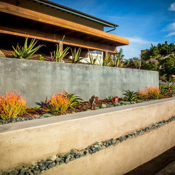Concrete Wall With An Artistic Flair -Del Mar Ocean View Garden & Deck