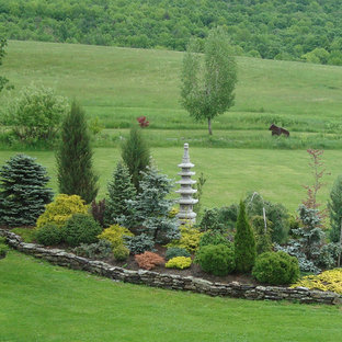 Conifer Garden | Houzz