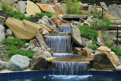 Diseño de jardín rural grande en verano en patio trasero con fuente y exposición total al sol