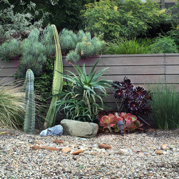 Conscious Stream Scape 2 Year Update - Silverlake