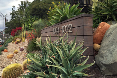 Ejemplo de jardín de secano contemporáneo pequeño en patio delantero con exposición total al sol y paisajismo estilo desértico