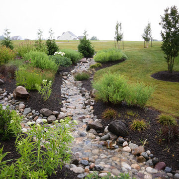 Conservation Meadowscape