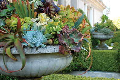 Inspiration for a traditional landscaping in San Francisco.