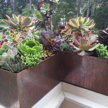 Container Arrangementsbrom