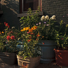 garden planting pots
