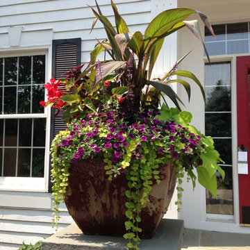 Container Garden Greets Guests