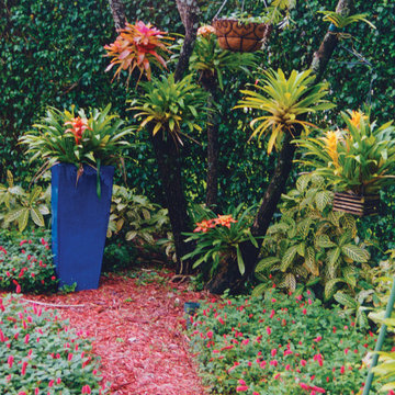 Container Garden in Boca Raton