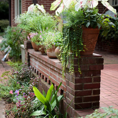Photo of a small traditional shade courtyard landscaping in Atlanta for summer.