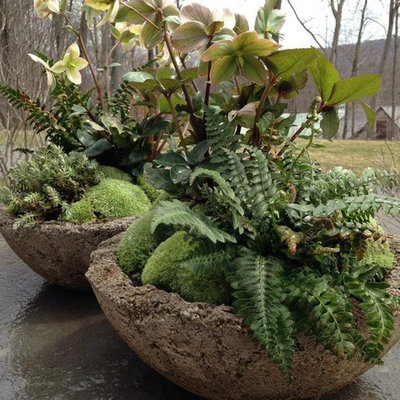 Inspiration for a small traditional shade backyard landscaping in New York for spring.