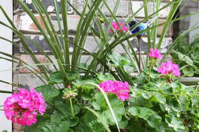 Shabby-Chic Garten im Sommer mit Kübelpflanzen in Sonstige