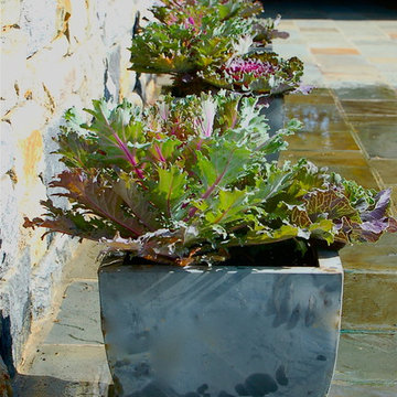 container gardens for autumn
