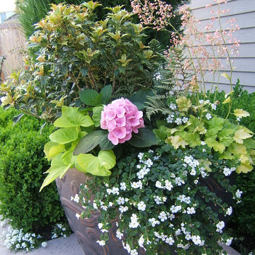 Container Gardens