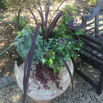 Container Gardens