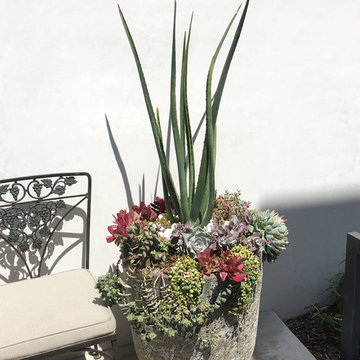 Container Gardens