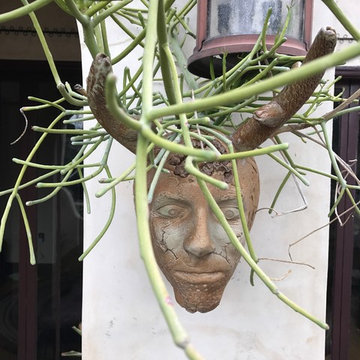 Container Gardens