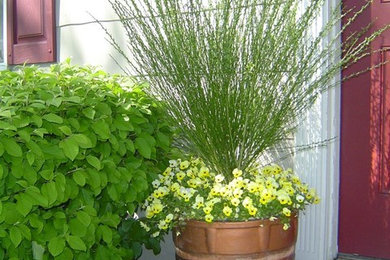 Design ideas for a medium sized traditional front full sun garden for spring in New York with a potted garden.