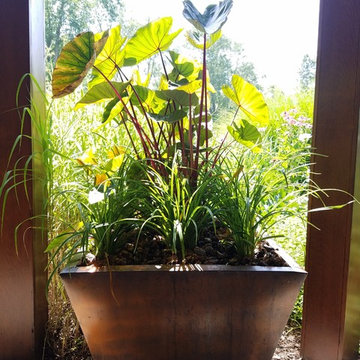 Container Gardens - Various Clients in Northern New Jersey