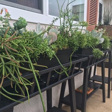 Container Plantings