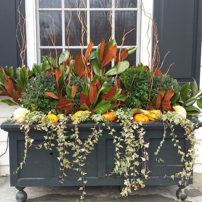 Design ideas for a large traditional full sun front yard formal garden in New York for fall.